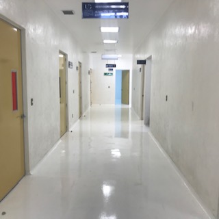 Pintura Epóxica en Piso Bioterio, UG León